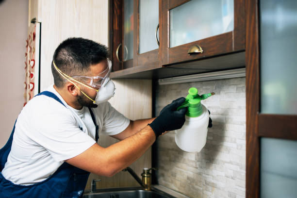 Best Bed Bug Extermination  in Laguna Woods, CA